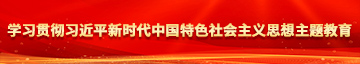 流水了哈啊高潮h学习贯彻习近平新时代中国特色社会主义思想主题教育