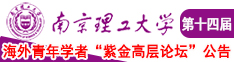 黄色尻屄片南京理工大学第十四届海外青年学者紫金论坛诚邀海内外英才！